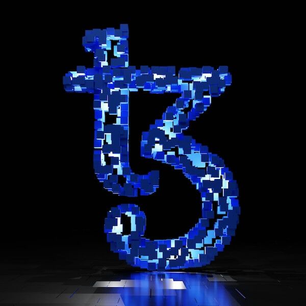 The Second Coin logo